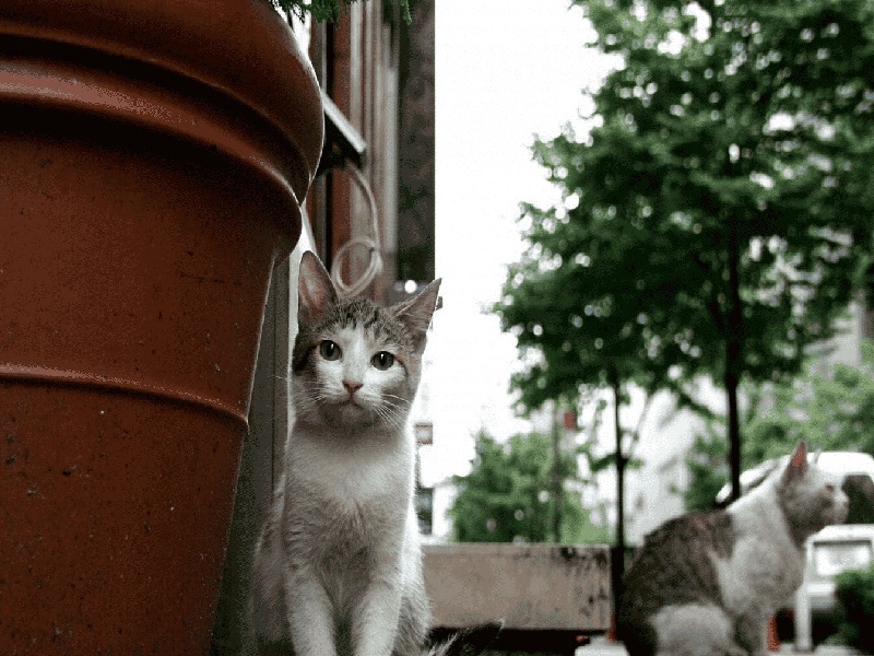 郑州三代供卵例子,山东临沂做试管婴儿成功率最高的医院是哪里？如何选-郑州